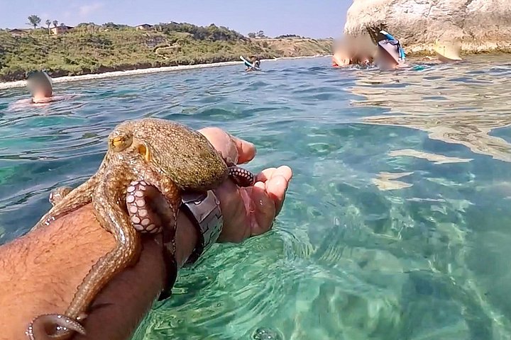 Tour in barca lungo le coste di Tropea e Capo Vaticano, con snorkeling e splendide grotte marine, foto 16 | wizardtrip
