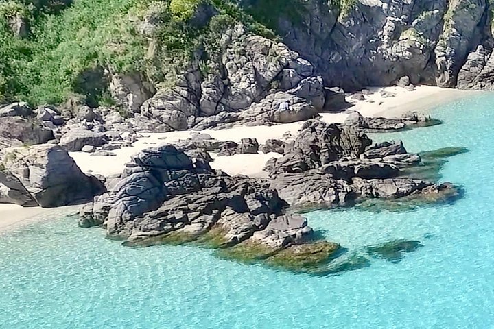 Tour in barca lungo le coste di Tropea e Capo Vaticano, con snorkeling e splendide grotte marine, foto 25 | wizardtrip