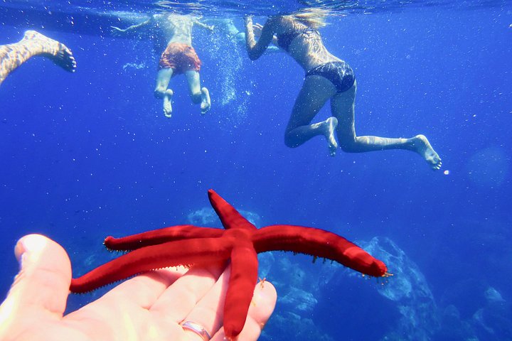 Tour in barca lungo le coste di Tropea e Capo Vaticano, con snorkeling e splendide grotte marine, foto 32 | wizardtrip