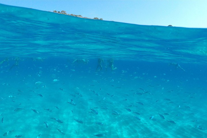 Tour in barca lungo le coste di Tropea e Capo Vaticano, con snorkeling e splendide grotte marine, foto 41 | wizardtrip