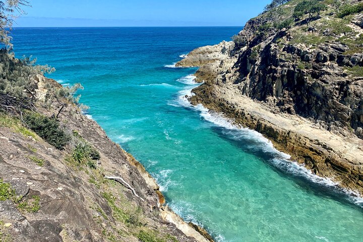 North Stradbroke Island WILDLIFE Adventure Tour from Brisbane | wizardtrip