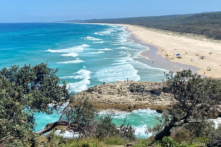 Dyrelivs- og kystlandskabstur på North Stradbroke Island fra Brisbane, foto 6 | wizardtrip