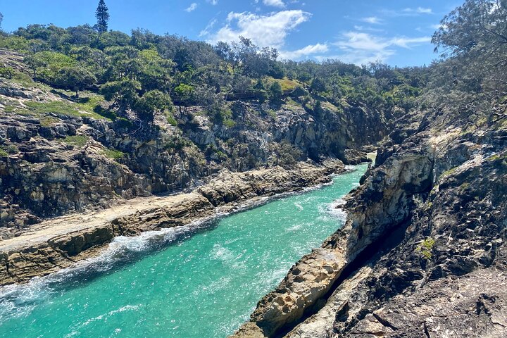 Dyrelivs- og kystlandskabstur på North Stradbroke Island fra Brisbane, foto 9 | wizardtrip