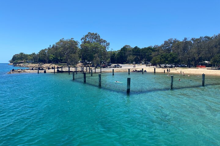 Dyrelivs- og kystlandskabstur på North Stradbroke Island fra Brisbane, foto 10 | wizardtrip