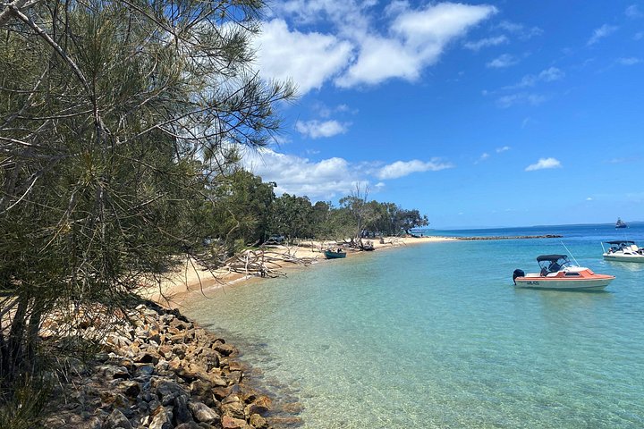 Dyrelivs- og kystlandskabstur på North Stradbroke Island fra Brisbane, foto 11 | wizardtrip