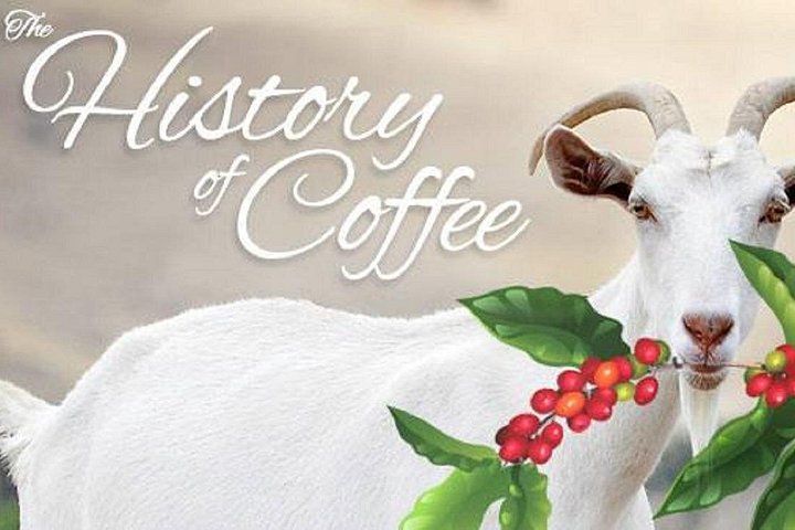 Lær å lage tradisjonell vietnamesisk kaffe og utforsk lokal kaffekultur i Hoi An, foto 6 | wizardtrip