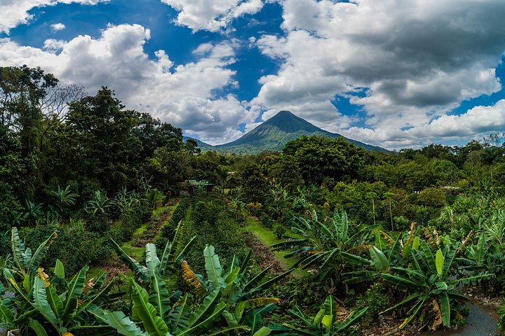 Expérience authentique de tour de café et de chocolat près du volcan Arenal, Costa Rica, photo 17 | wizardtrip
