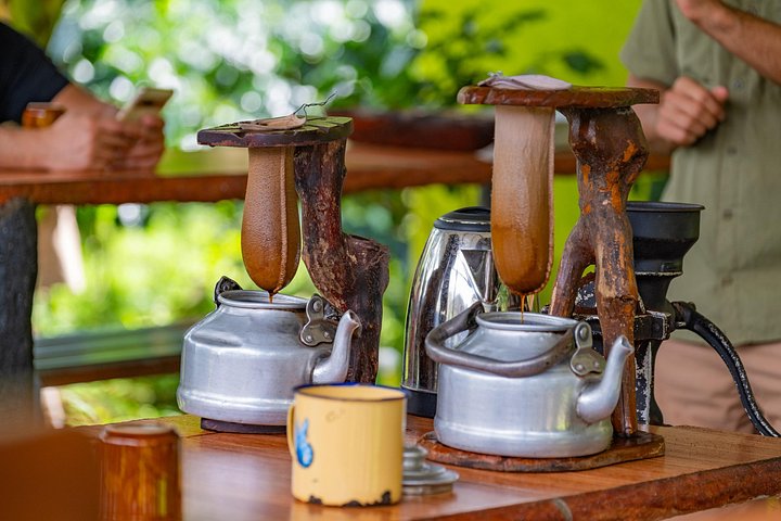 Expérience authentique de tour de café et de chocolat près du volcan Arenal, Costa Rica, photo 20 | wizardtrip