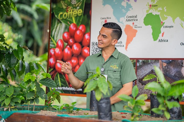 Expérience authentique de tour de café et de chocolat près du volcan Arenal, Costa Rica, photo 35 | wizardtrip