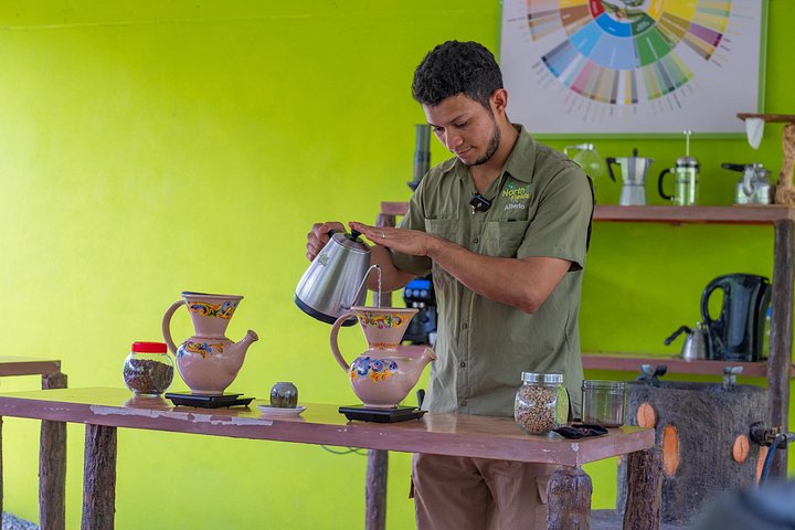 Expérience authentique de tour de café et de chocolat près du volcan Arenal, Costa Rica, photo 41 | wizardtrip