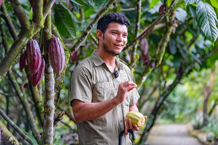 Expérience authentique de tour de café et de chocolat près du volcan Arenal, Costa Rica, photo 44 | wizardtrip