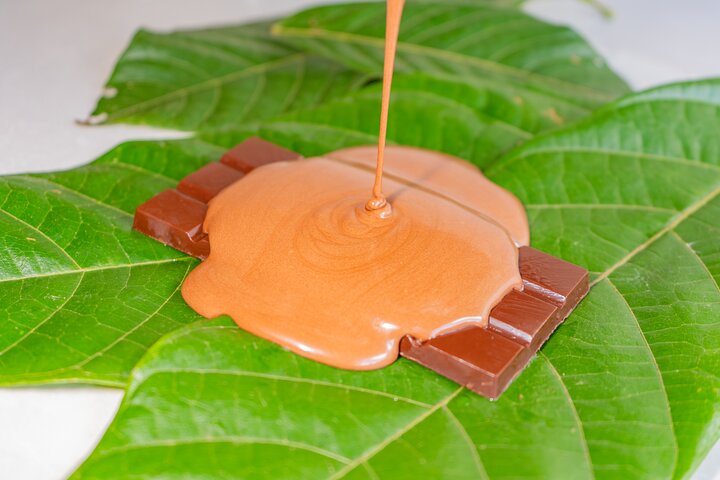 Découvrez la production authentique de café et de chocolat du Costa Rica dans une ferme familiale à La Fortuna, photo 7 | wizardtrip