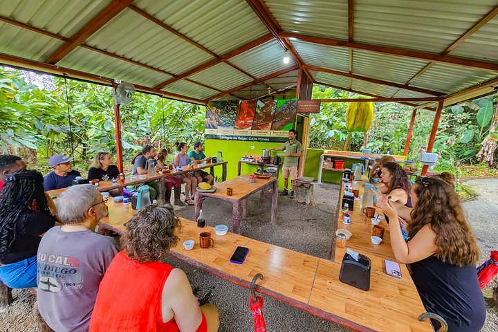Découvrez la production authentique de café et de chocolat du Costa Rica dans une ferme familiale à La Fortuna, photo 25 | wizardtrip