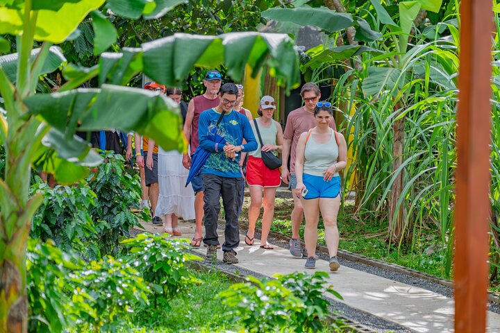 Découvrez la production authentique de café et de chocolat du Costa Rica dans une ferme familiale à La Fortuna, photo 27 | wizardtrip