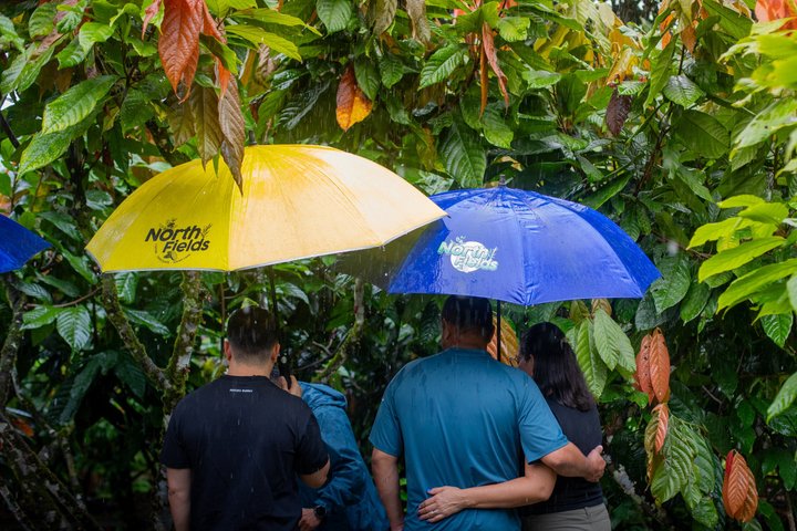 Découvrez la production authentique de café et de chocolat du Costa Rica dans une ferme familiale à La Fortuna, photo 35 | wizardtrip