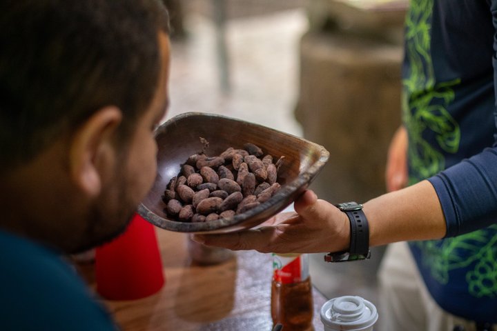Découvrez la production authentique de café et de chocolat du Costa Rica dans une ferme familiale à La Fortuna, photo 39 | wizardtrip