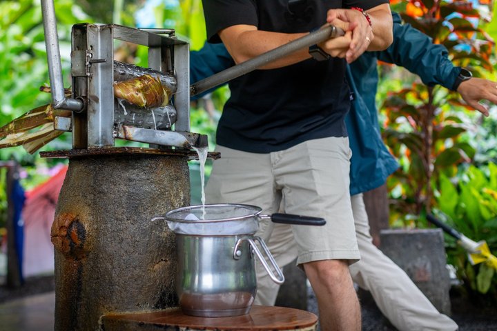 Découvrez la production authentique de café et de chocolat du Costa Rica dans une ferme familiale à La Fortuna, photo 43 | wizardtrip
