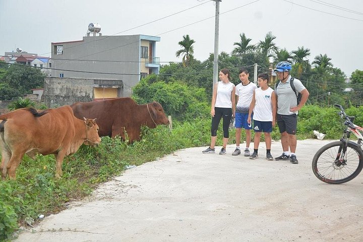 Tour à vélo dans la campagne de Hanoï, visite de villages et marchés locaux, photo 22 | wizardtrip