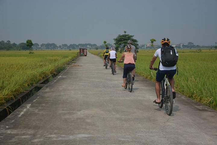 Tour à vélo dans la campagne de Hanoï, visite de villages et marchés locaux, photo 41 | wizardtrip