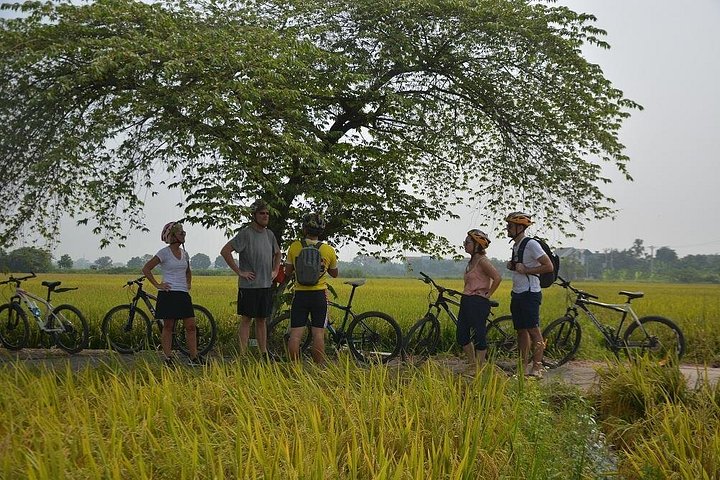 Tour à vélo dans la campagne de Hanoï, visite de villages et marchés locaux, photo 44 | wizardtrip