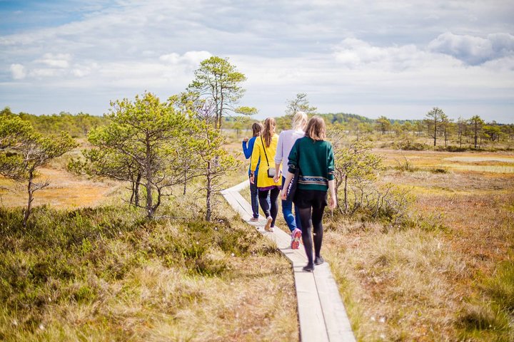 Explore el Parque Nacional de Lahemaa de Estonia, con páramos, cascadas, mansiones y senderos costeros, foto 6 | wizardtrip
