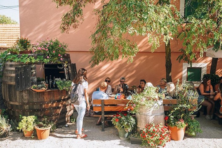 Dagstur til Krka Vandfald fra Split, inklusiv vinsmagning og bådtur, foto 14 | wizardtrip