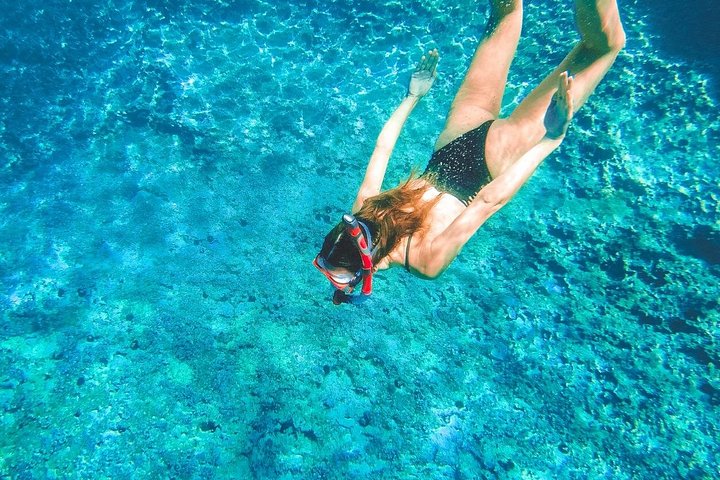 Dal Dalmazia: Tour in Motoscafo della Laguna Blu e 3 Isole | wizardtrip