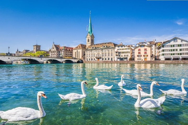 Un tour completo di Zurigo con passeggiata in città, crociera sul lago e funivia per Felsenegg, foto 11 | wizardtrip