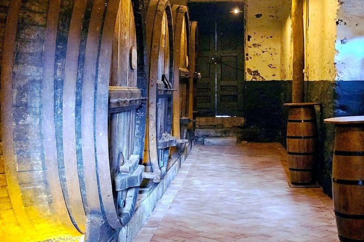 Naturskjønn utsikt over Douro-dalen, vinmarker, vingårder og vinsmakingsopplevelser under en guidet tur fra Porto, foto 8 | wizardtrip