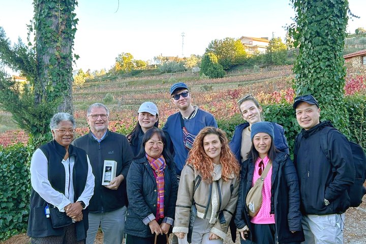 Naturskjønn utsikt over Douro-dalen, vinmarker, vingårder og vinsmakingsopplevelser under en guidet tur fra Porto, foto 10 | wizardtrip