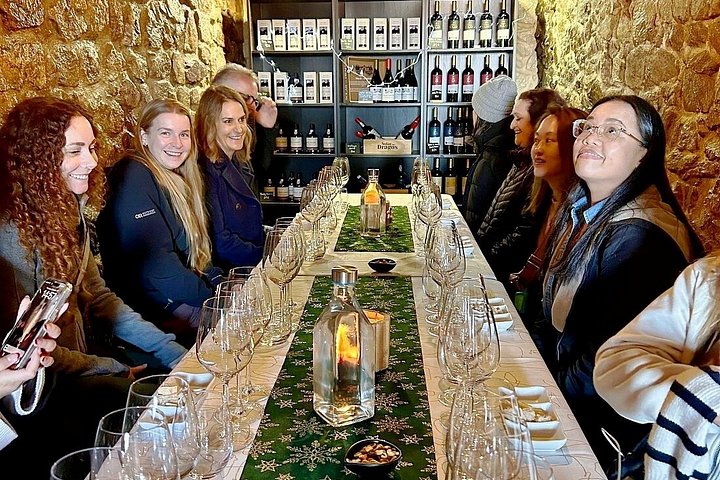 Naturskjønn utsikt over Douro-dalen, vinmarker, vingårder og vinsmakingsopplevelser under en guidet tur fra Porto, foto 14 | wizardtrip