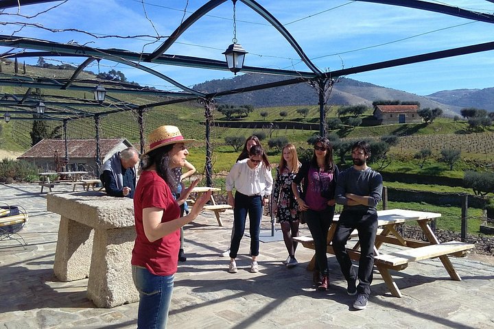 Naturskjønn utsikt over Douro-dalen, vinmarker, vingårder og vinsmakingsopplevelser under en guidet tur fra Porto, foto 16 | wizardtrip