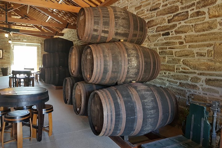 Naturskjønn utsikt over Douro-dalen, vinmarker, vingårder og vinsmakingsopplevelser under en guidet tur fra Porto, foto 17 | wizardtrip