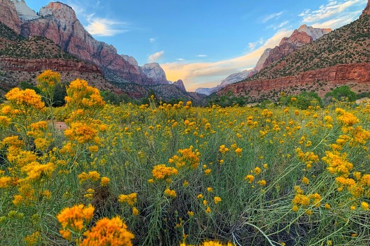 2 Day: Grand Canyon, Antelope Canyon, Horseshoe Bend, Zion Tour | wizardtrip
