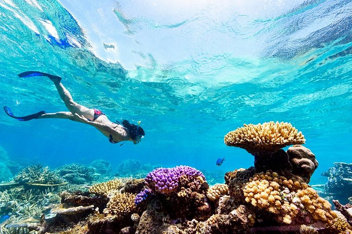 Disfruta de un lujoso crucero en yate a la Isla Orange Bay desde Hurghada, con snorkel, almuerzo y relax en la playa, foto 19 | wizardtrip
