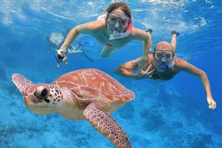 Disfruta de un lujoso crucero en yate a la Isla Orange Bay desde Hurghada, con snorkel, almuerzo y relax en la playa, foto 20 | wizardtrip