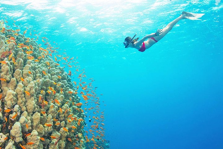 Disfruta de un lujoso crucero en yate a la Isla Orange Bay desde Hurghada, con snorkel, almuerzo y relax en la playa, foto 21 | wizardtrip