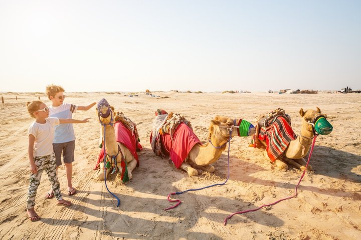 Fyrhjuling och kamelrittsäventyr i Sharm El Sheikhs öken med beduinmiddag och show, foto 25 | wizardtrip