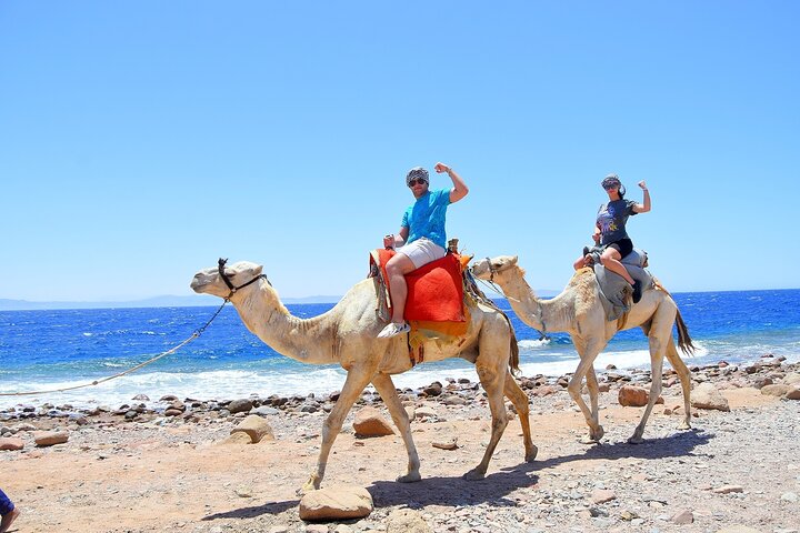 Upplev den livfulla Färgade kanjonen, snorkla i Blå hålet och njut av en kameltur i Dahab på detta Sinaiäventyr från Sharm El Sheikh, foto 13 | wizardtrip