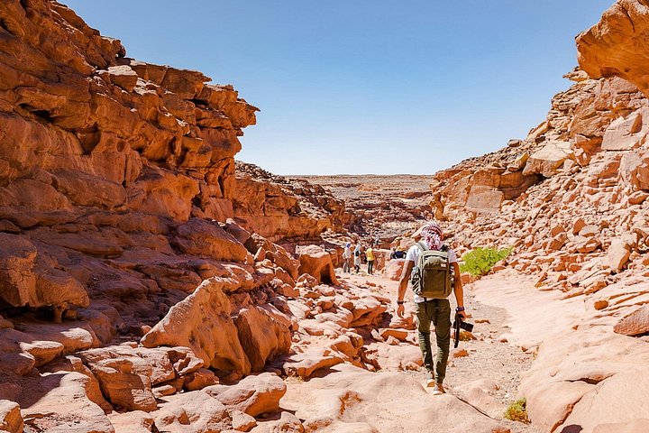 Upplev den livfulla Färgade kanjonen, snorkla i Blå hålet och njut av en kameltur i Dahab på detta Sinaiäventyr från Sharm El Sheikh, foto 19 | wizardtrip