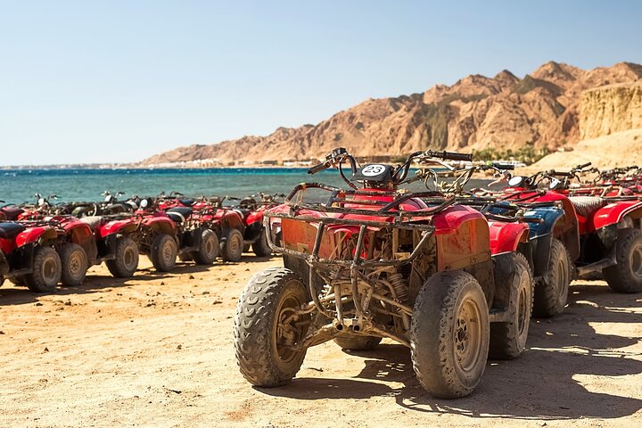 Upplev den livfulla Färgade kanjonen, snorkla i Blå hålet och njut av en kameltur i Dahab på detta Sinaiäventyr från Sharm El Sheikh, foto 26 | wizardtrip