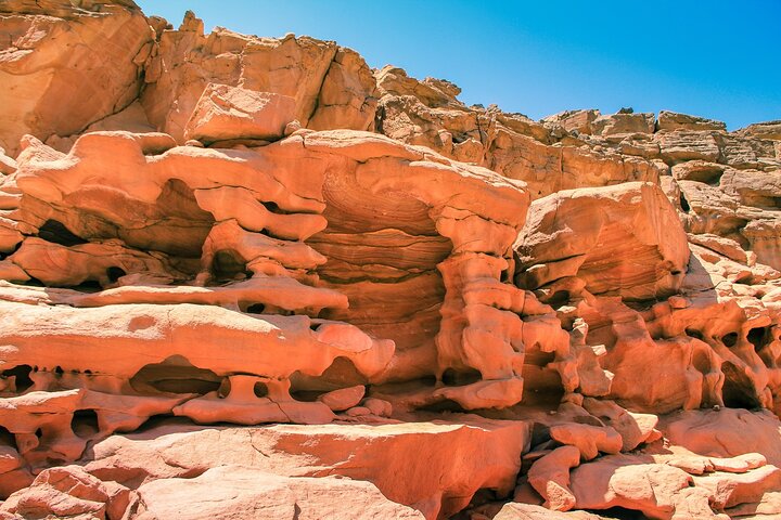 Upplev den livfulla Färgade kanjonen, snorkla i Blå hålet och njut av en kameltur i Dahab på detta Sinaiäventyr från Sharm El Sheikh, foto 27 | wizardtrip