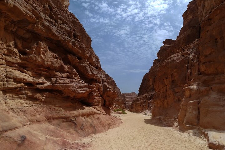 Upplev den livfulla Färgade kanjonen, snorkla i Blå hålet och njut av en kameltur i Dahab på detta Sinaiäventyr från Sharm El Sheikh, foto 41 | wizardtrip