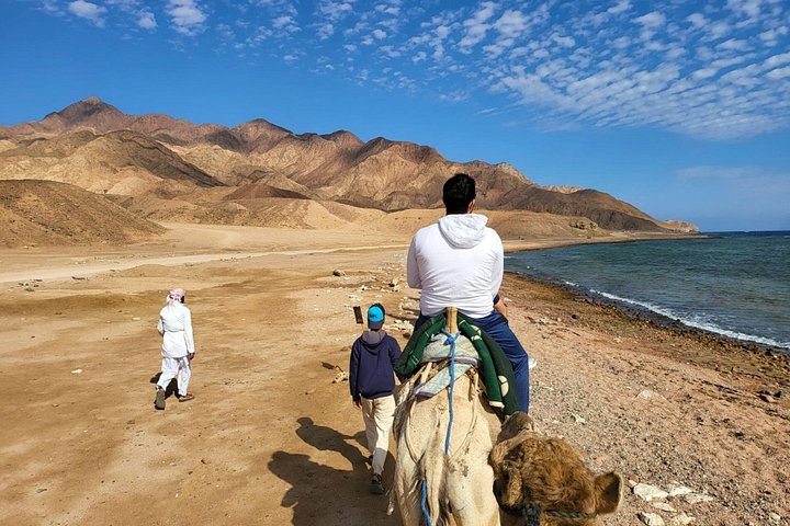 Upplev den livfulla Färgade kanjonen, snorkla i Blå hålet och njut av en kameltur i Dahab på detta Sinaiäventyr från Sharm El Sheikh, foto 42 | wizardtrip