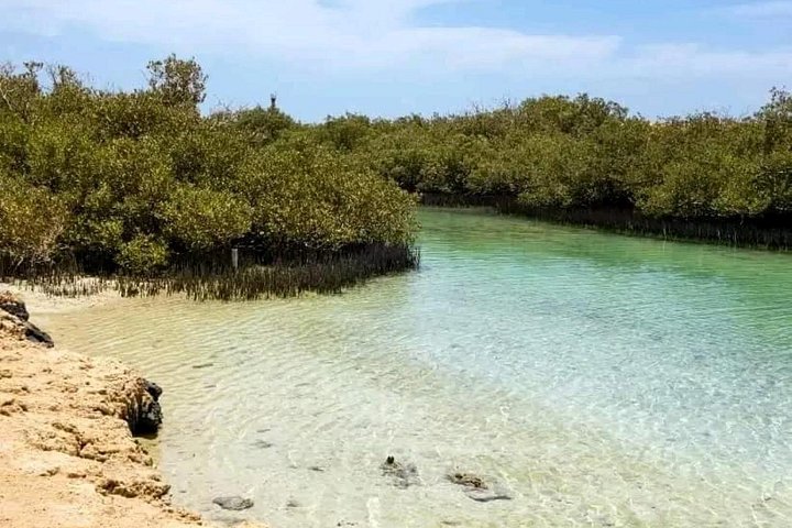 Esplora i diversi paesaggi e la vita marina del Parco Nazionale di Ras Mohammed in un tour via terra da Sharm El Sheikh, foto 15 | wizardtrip