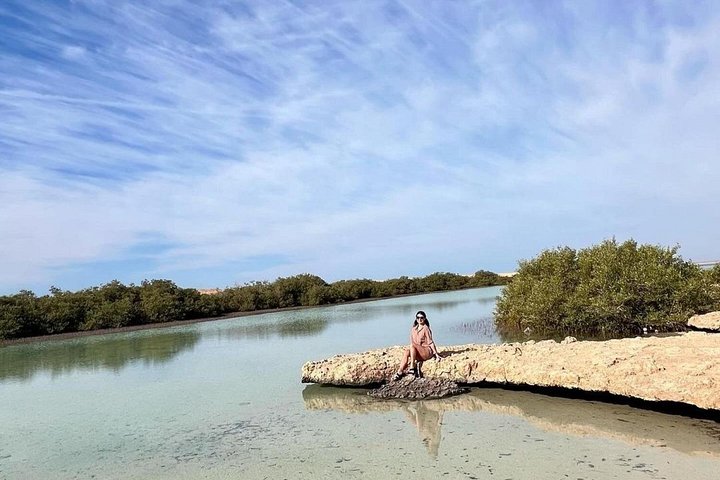 Esplora i diversi paesaggi e la vita marina del Parco Nazionale di Ras Mohammed in un tour via terra da Sharm El Sheikh, foto 16 | wizardtrip