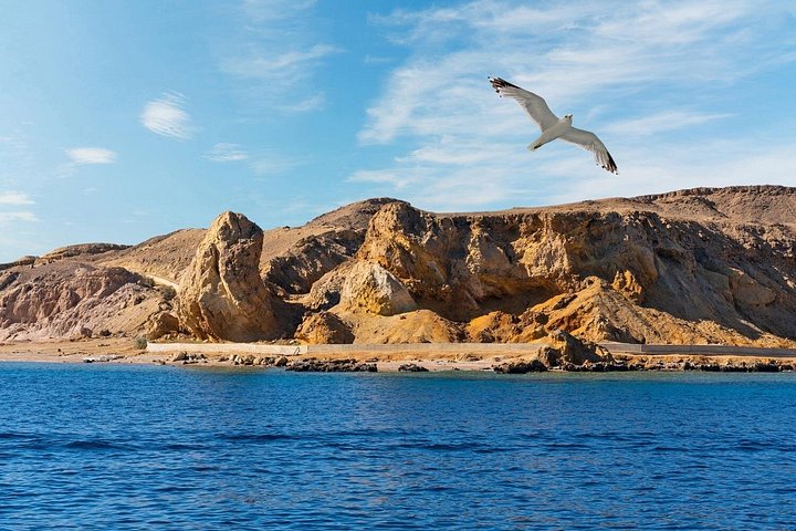 Esplora i diversi paesaggi e la vita marina del Parco Nazionale di Ras Mohammed in un tour via terra da Sharm El Sheikh, foto 20 | wizardtrip