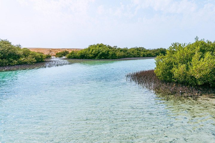 Esplora i diversi paesaggi e la vita marina del Parco Nazionale di Ras Mohammed in un tour via terra da Sharm El Sheikh, foto 25 | wizardtrip