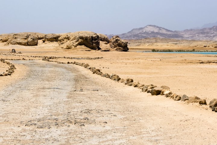 Esplora i diversi paesaggi e la vita marina del Parco Nazionale di Ras Mohammed in un tour via terra da Sharm El Sheikh, foto 38 | wizardtrip