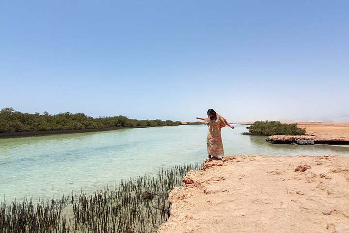 Esplora i diversi paesaggi e la vita marina del Parco Nazionale di Ras Mohammed in un tour via terra da Sharm El Sheikh, foto 39 | wizardtrip
